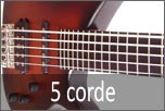 Bassi elettrici 5 corde