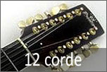 Acustiche 12 corde