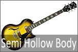 Chitarre Semi Hollow Body