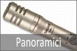 Panoramici