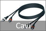 Cavi